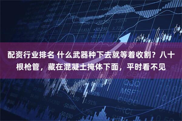 配资行业排名 什么武器种下去就等着收割？八十根枪管，藏在混凝土掩体下面，平时看不见